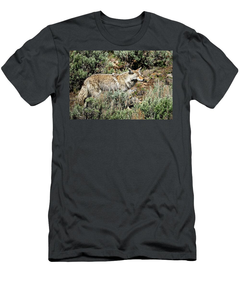 Coyote Amongst Sagebrush Paul Freidlund T-Shirt