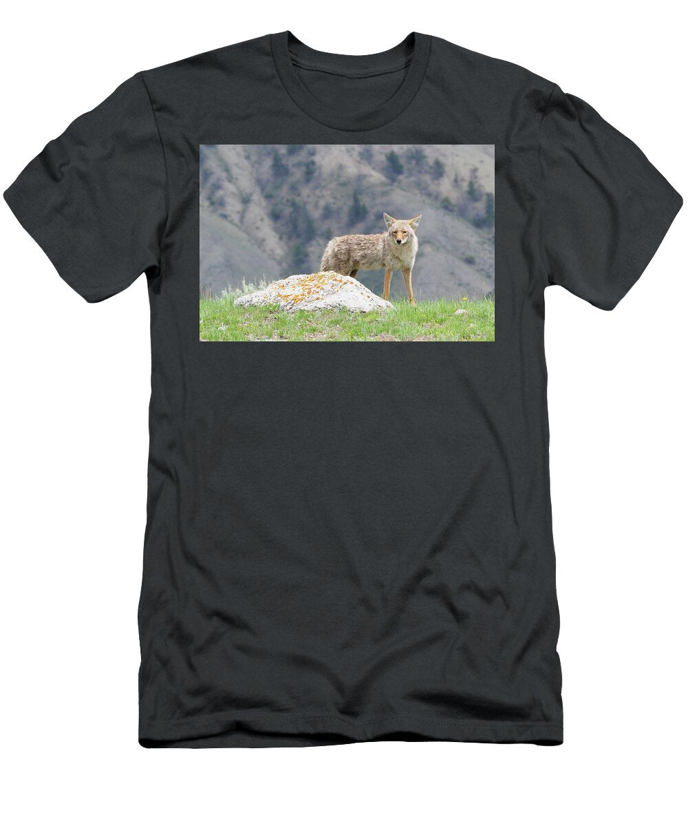 Coyote and Mt Everts Jenny Golding T-Shirt