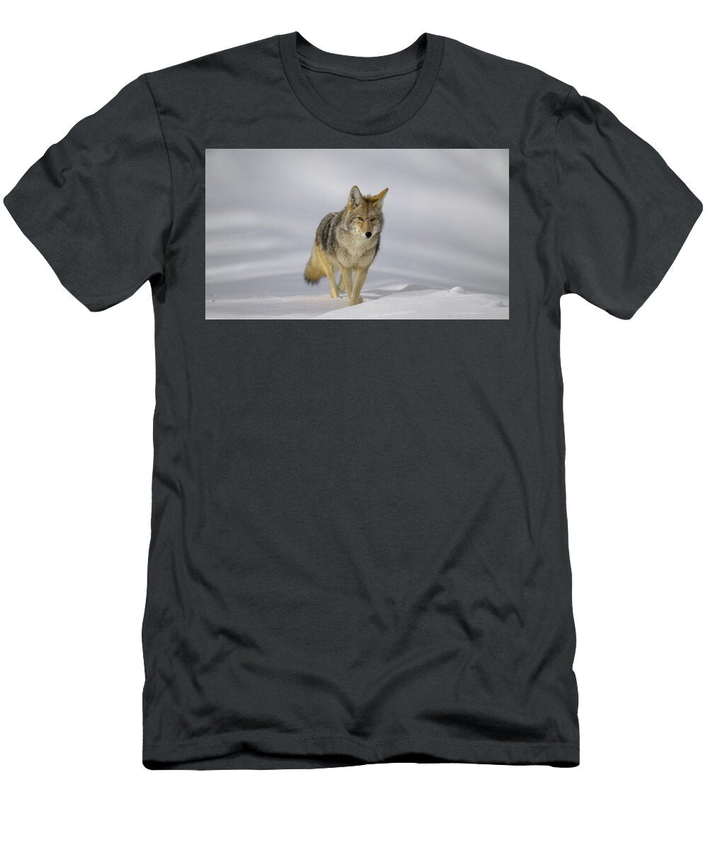 Coyote Approaching Anita Wooldridge T-Shirt
