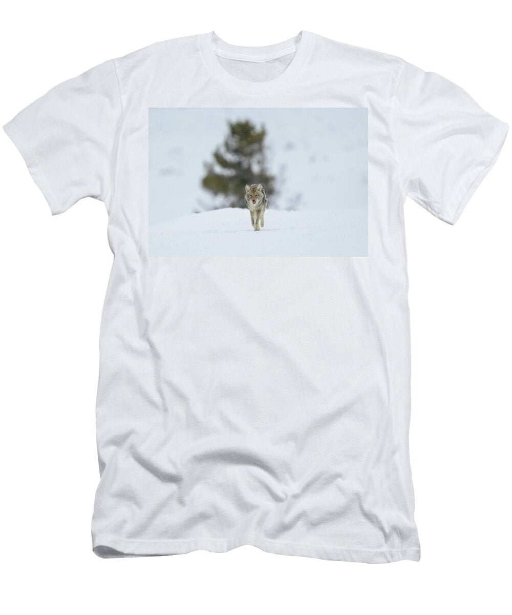 Coyote Approaching in a Snowy Landscape Anita Wooldridge T-Shirt