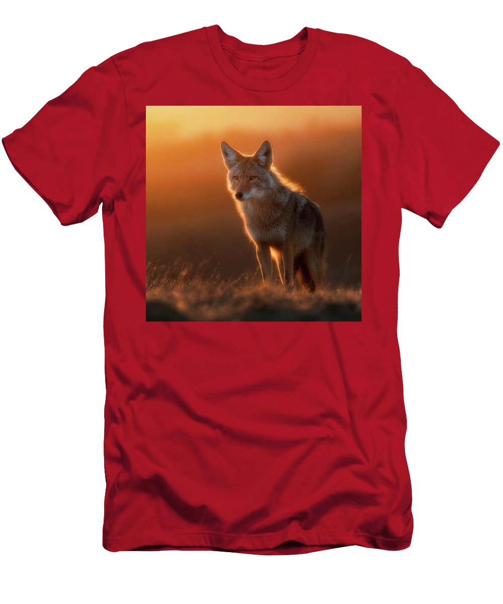 Coyote At Sunset Esoterica Art Agency T-Shirt