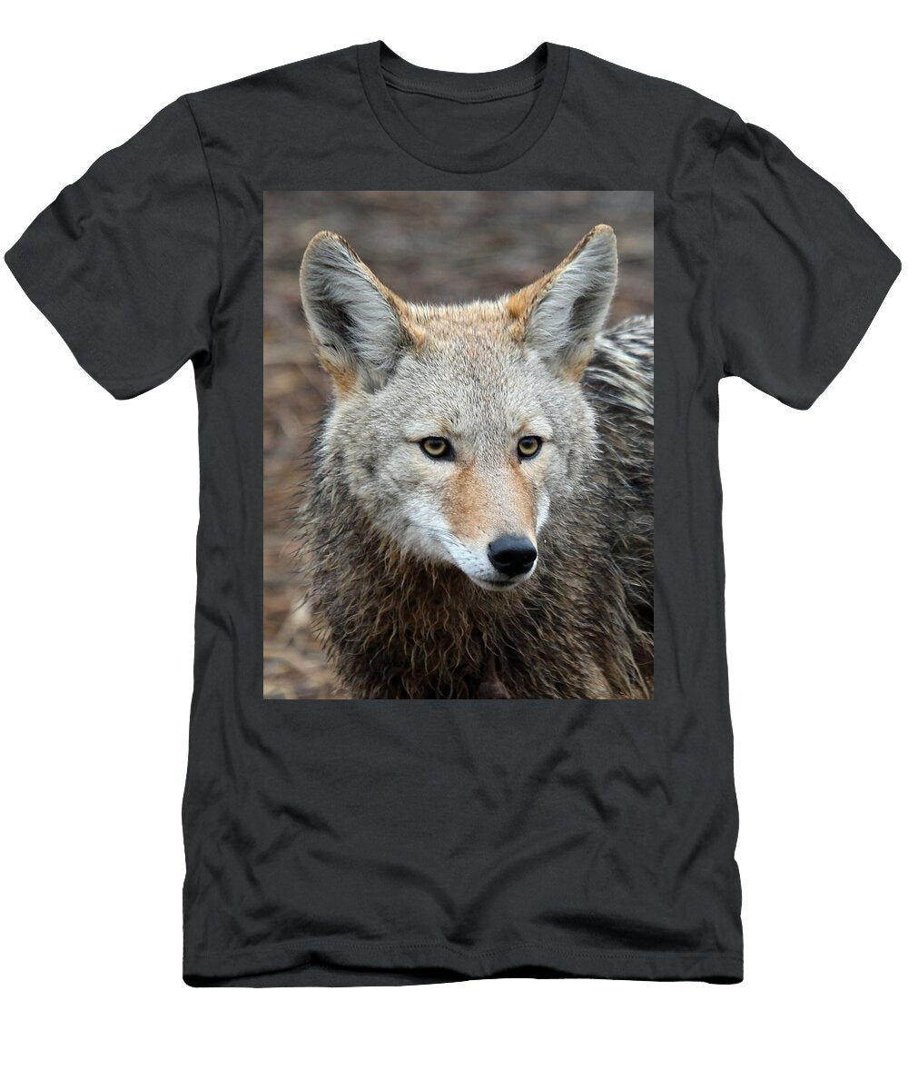 Coyote Athena Mckinzie T-Shirt