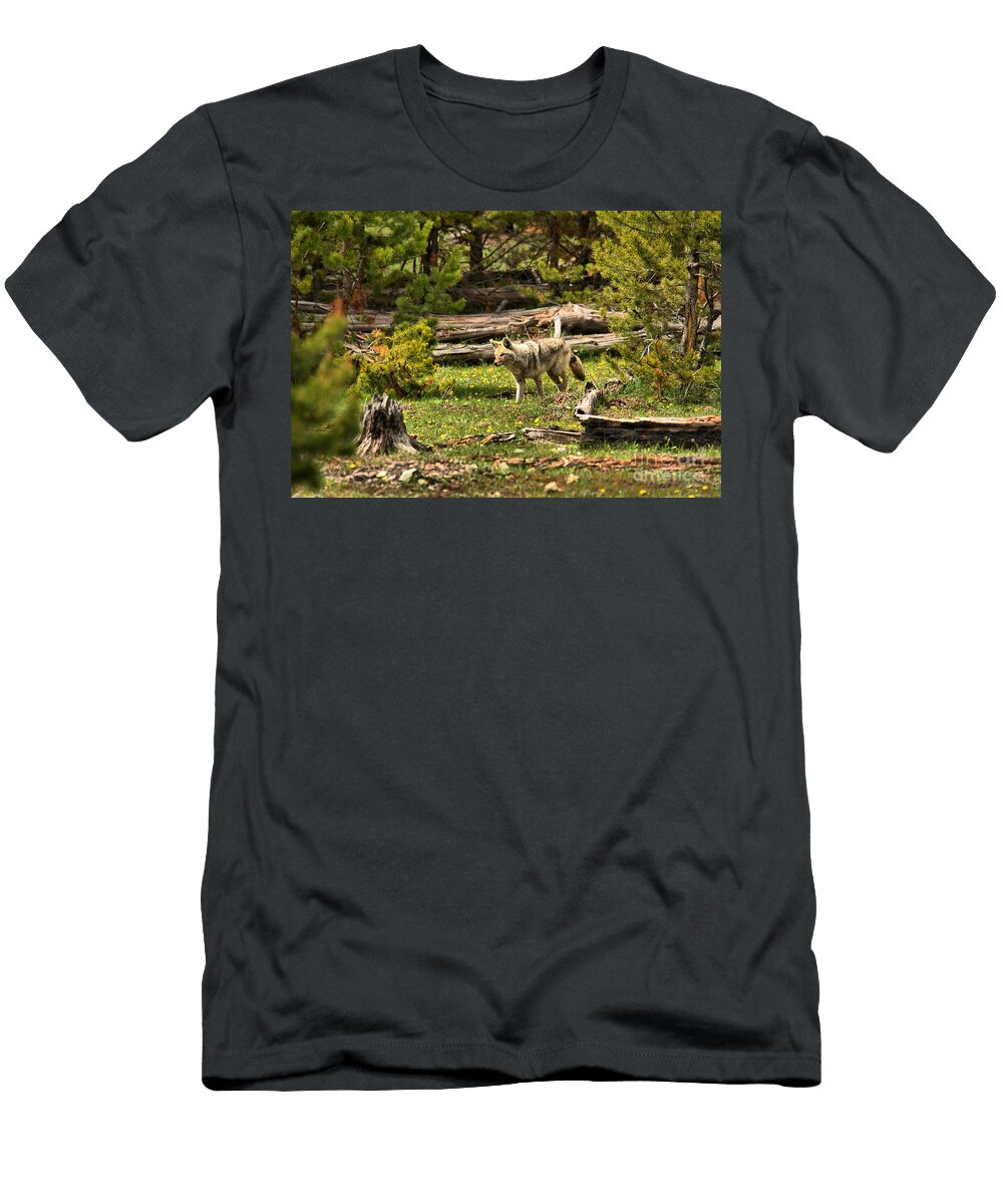 Coyote Blending in Along the Madison River Adam Jewell T-Shirt