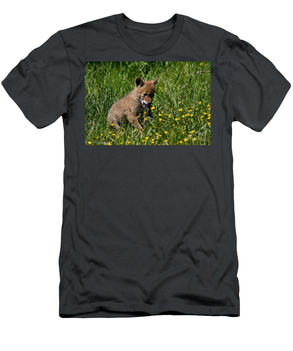 Coyote Breakfast Mitch Shindelbower T-Shirt
