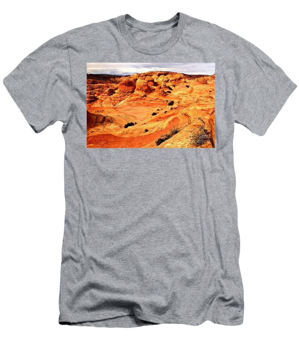 Coyote Buttes Brain Rocks Adam Jewell T-Shirt