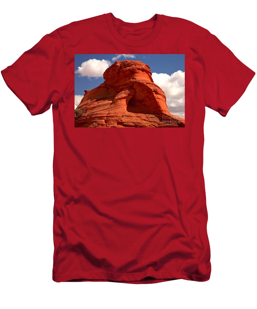 Coyote Buttes Elephant Adam Jewell T-Shirt