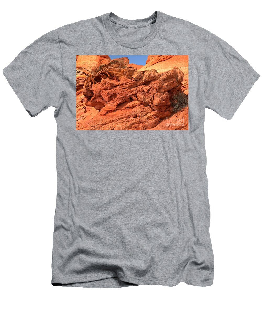 Coyote Buttes Lion Fish Adam Jewell T-Shirt
