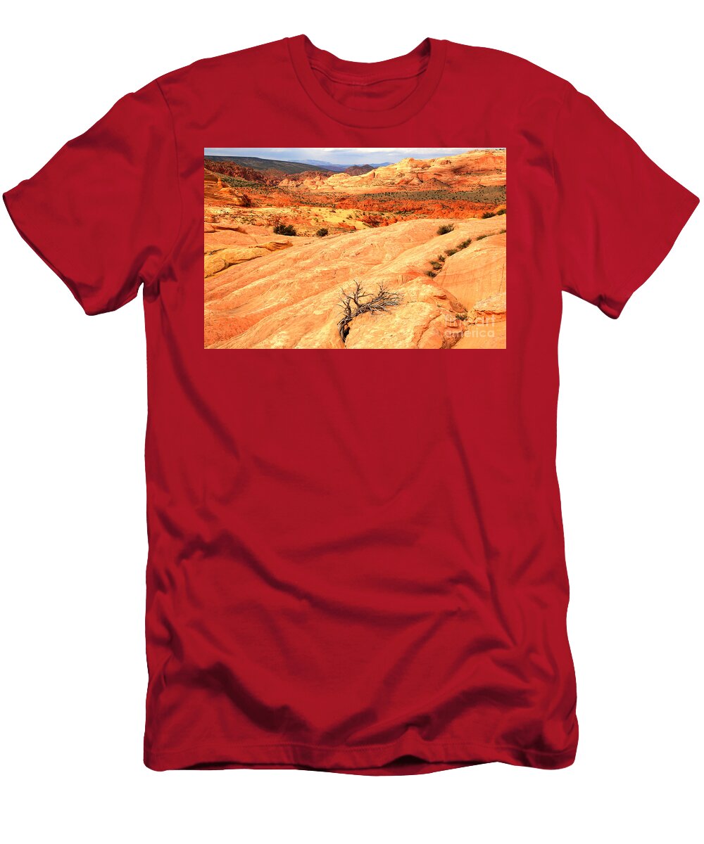 Coyote Buttes Rainbow Landscape Adam Jewell T-Shirt