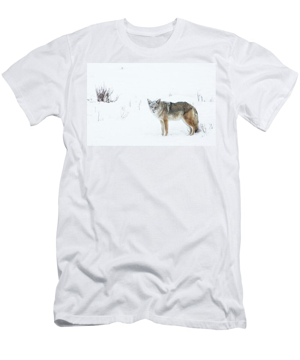 Coyote Canis Latrans Josh Miller T-Shirt