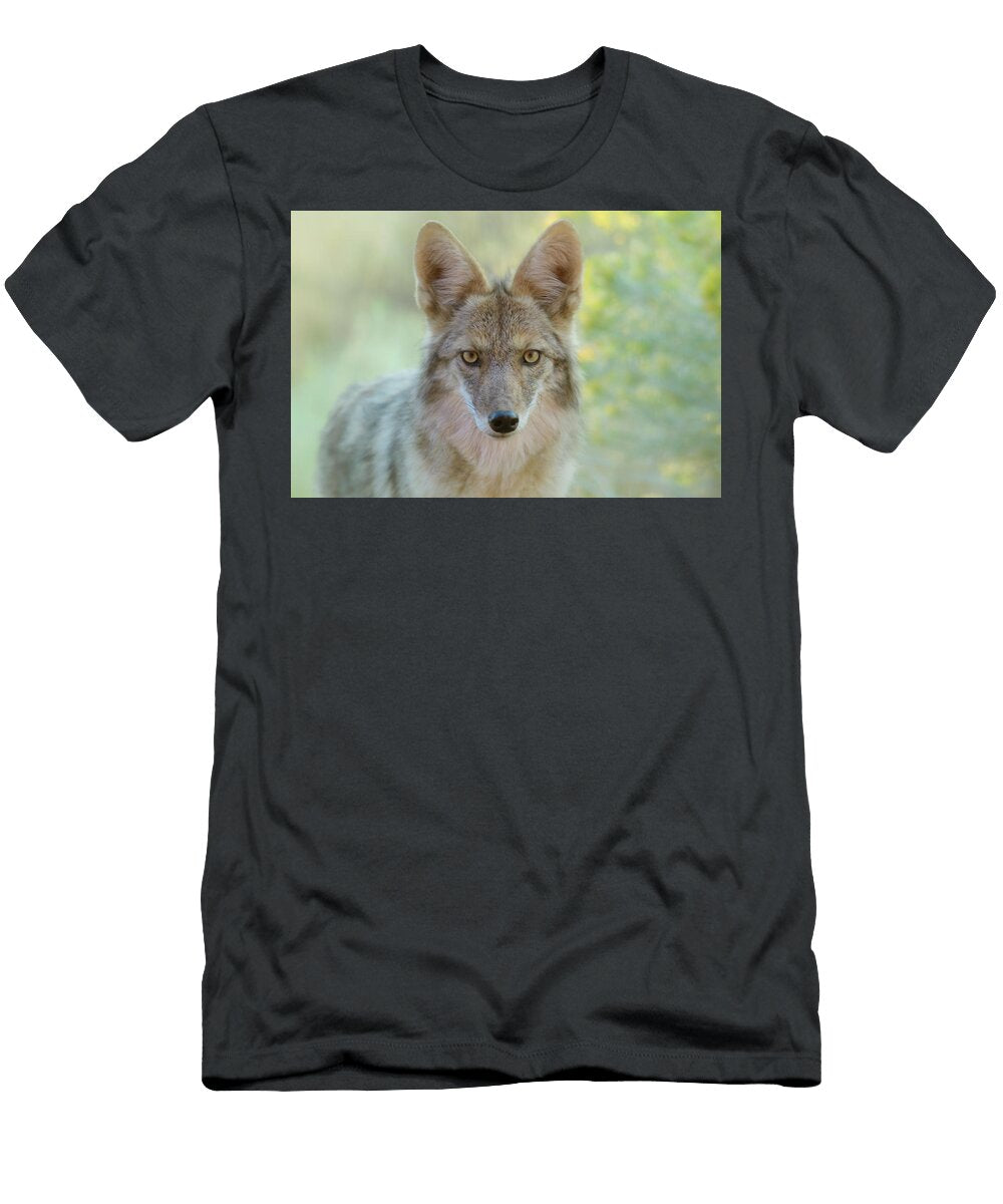 Coyote Christian Heeb T-Shirt