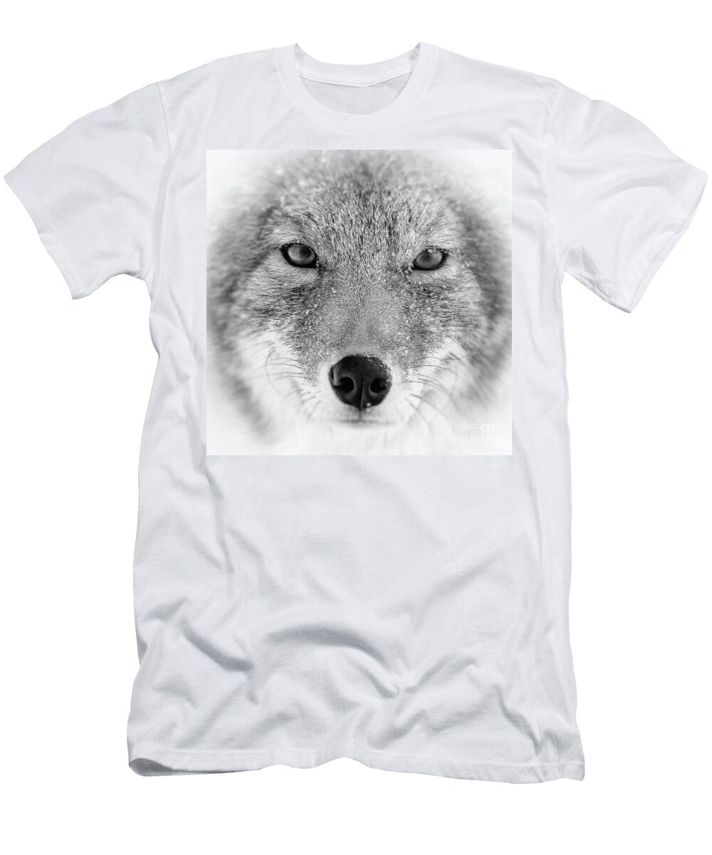 Coyote Close Up Todd Bielby T-Shirt