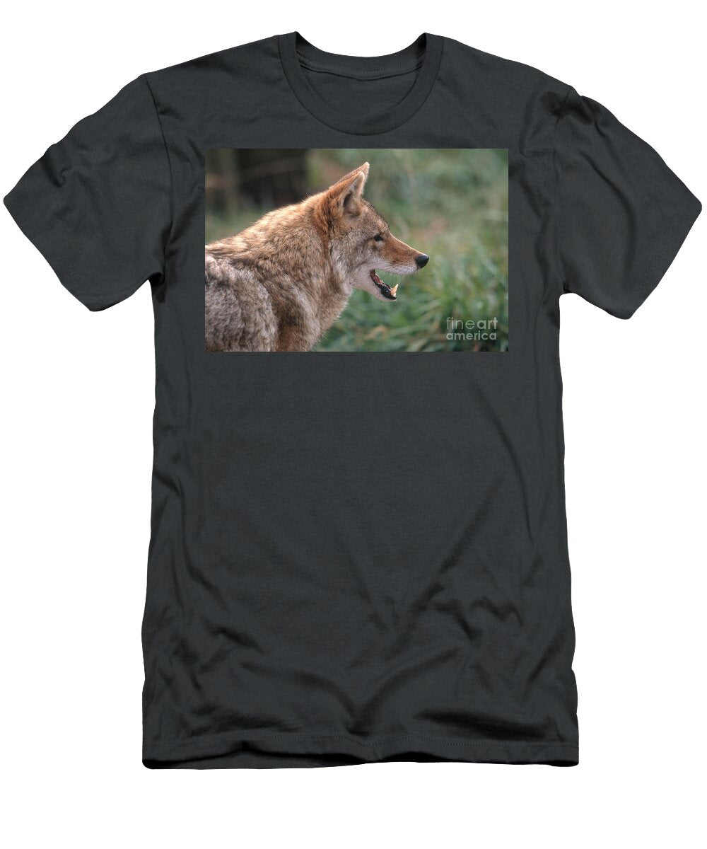 Coyote David Davis T-Shirt