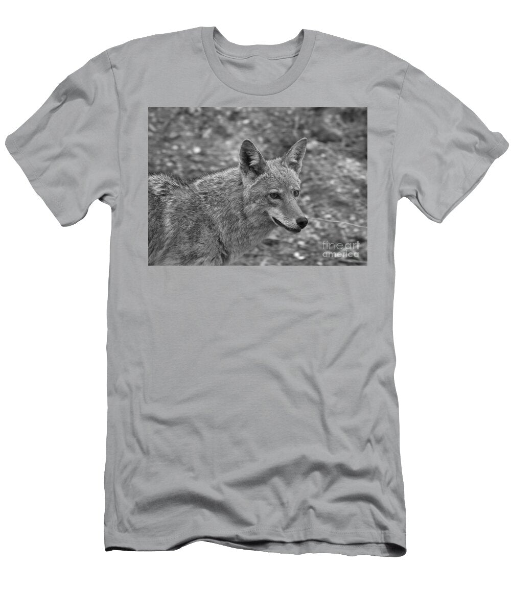 Coyote Distant Gaze Black and White Adam Jewell T-Shirt