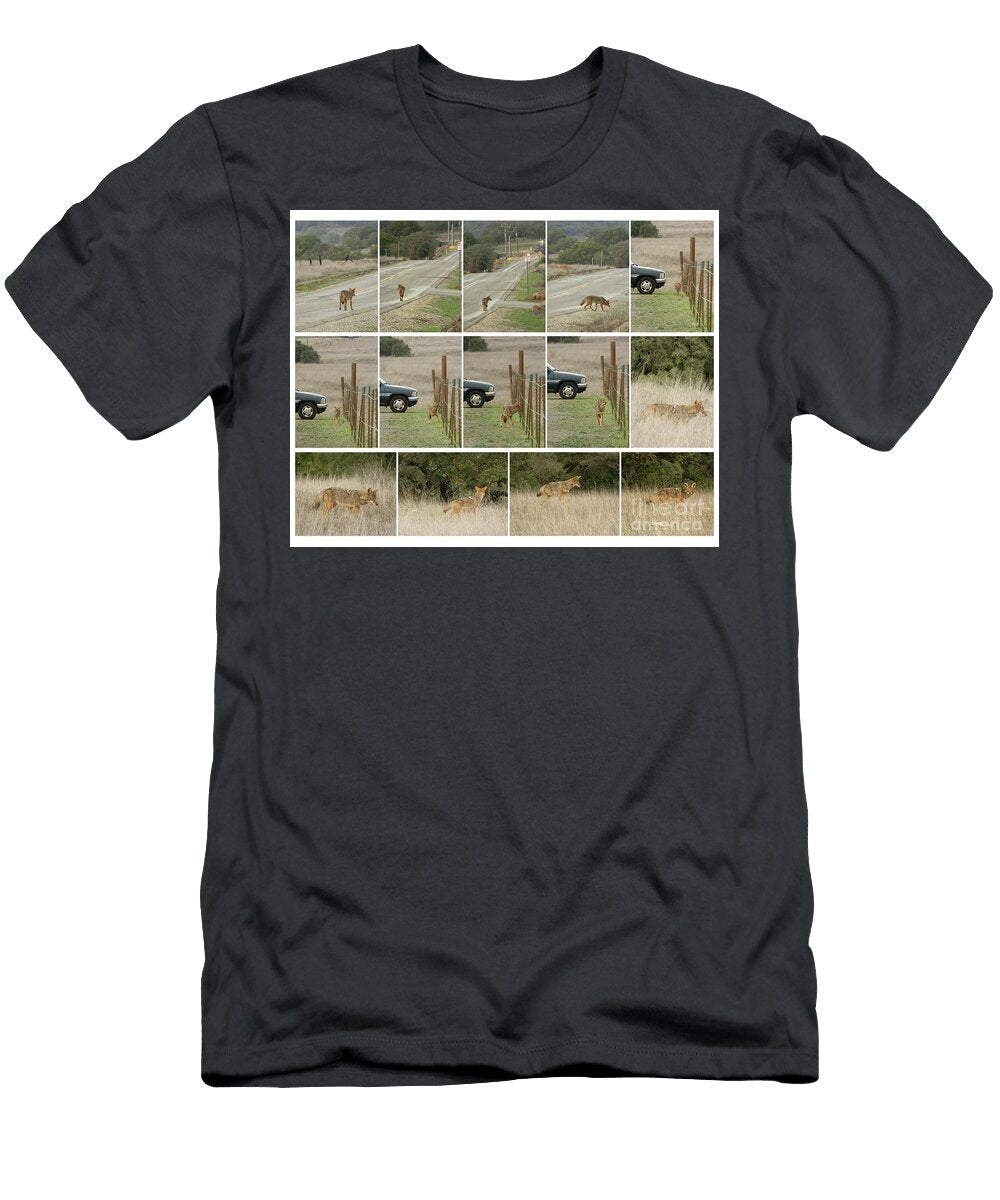 Coyote Encounter Robert Ball T-Shirt