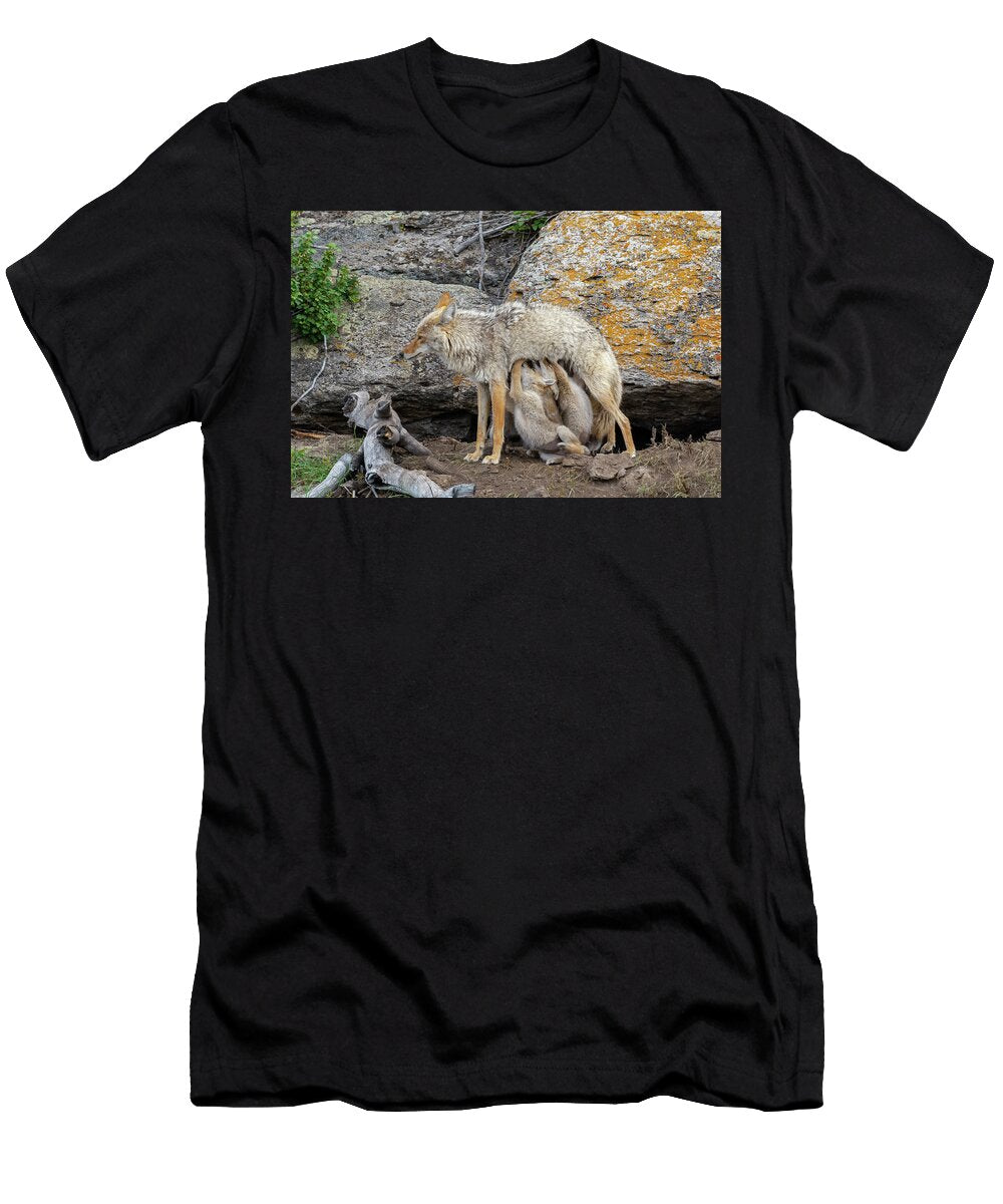 Coyote Female with Newborn Pups Suckling Yellowstone George Sanker Natureplcom T-Shirt
