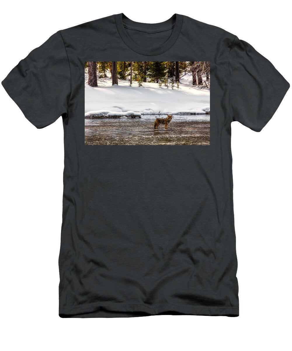 Coyote Fishing in the Madison River N P S Jacob W Frank T-Shirt