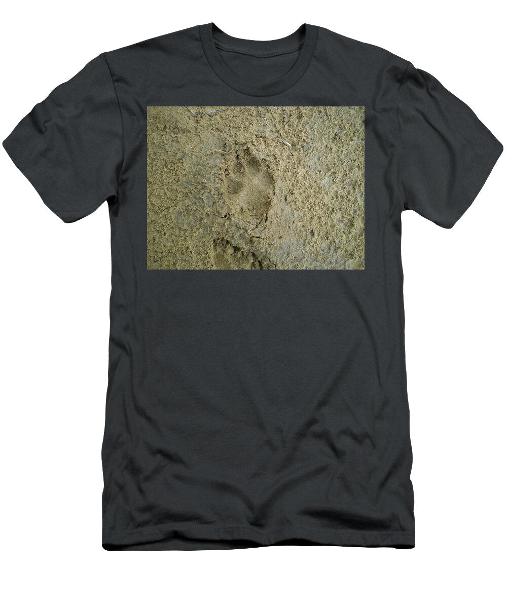 Coyote Footprint Les Classics T-Shirt