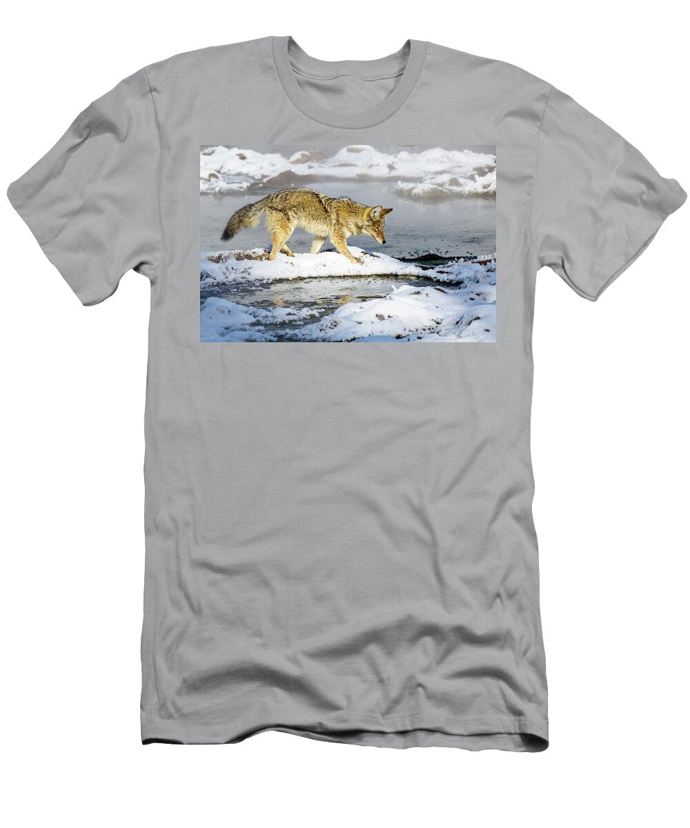 Coyote Foraging in Snow Hayden Valley Yellowstone Nick Garbutt Natureplcom T-Shirt