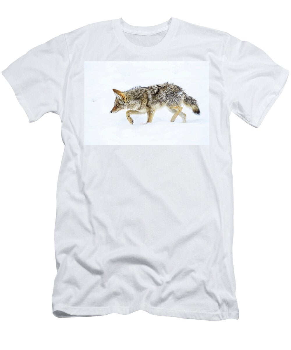 Coyote Foraging on Ice Madison Valley Yellowstone Nick Garbutt Natureplcom T-Shirt