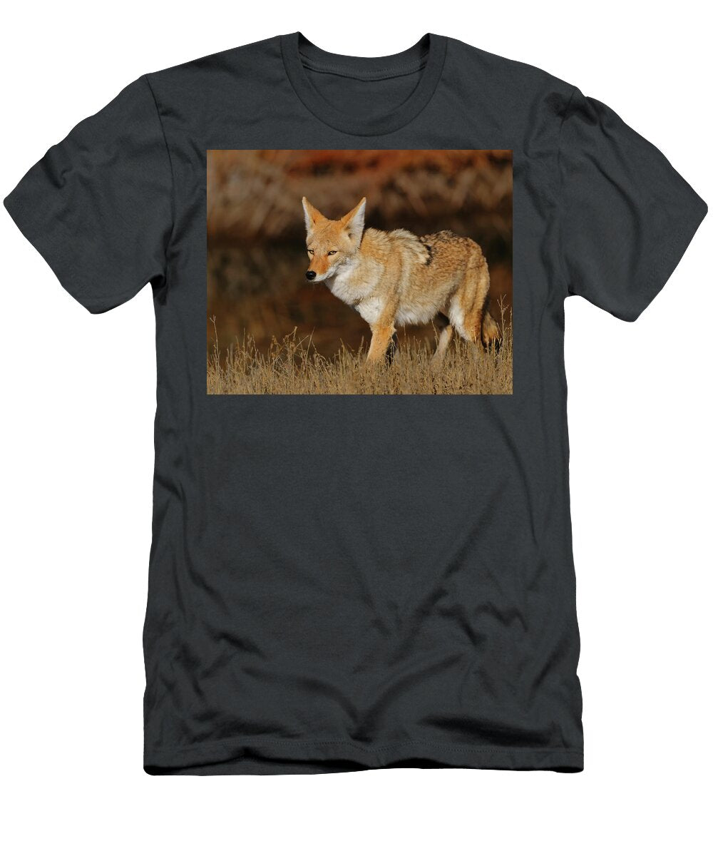 Coyote Gary Langley T-Shirt