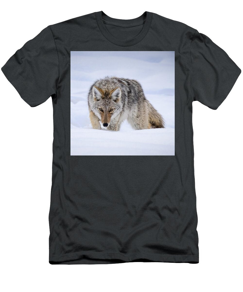 Coyote Gaze Lost on Walkabout T-Shirt