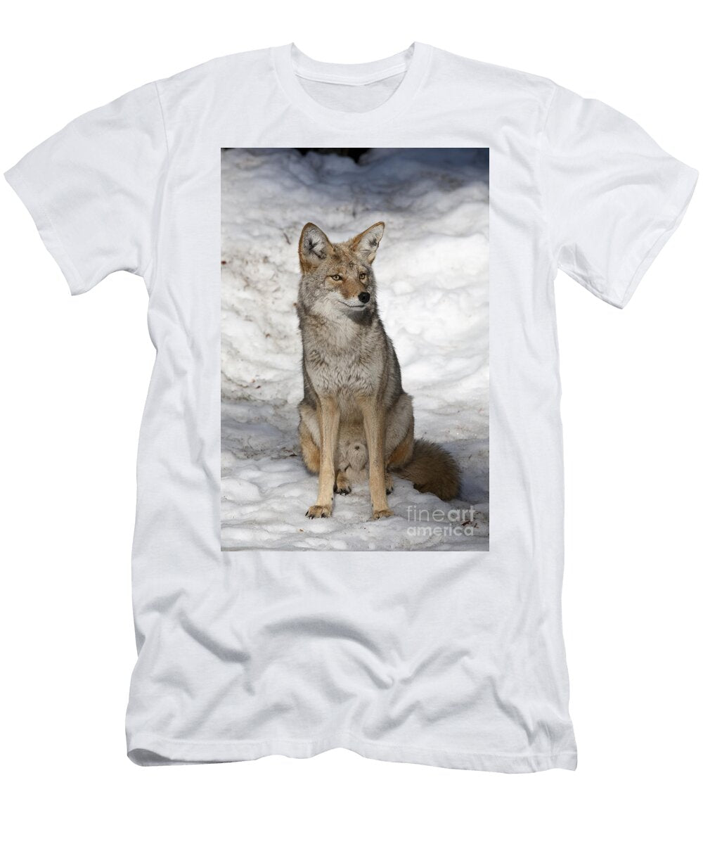 Coyote Gregory G Dimijian Md T-Shirt
