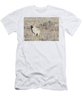 Coyote Gtnp Isabella Smedley T-Shirt