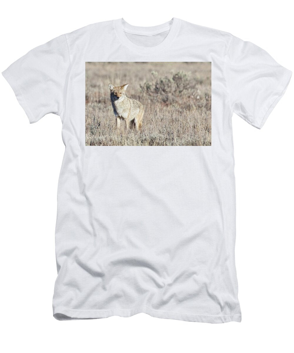 Coyote Gtnp Isabella Smedley T-Shirt