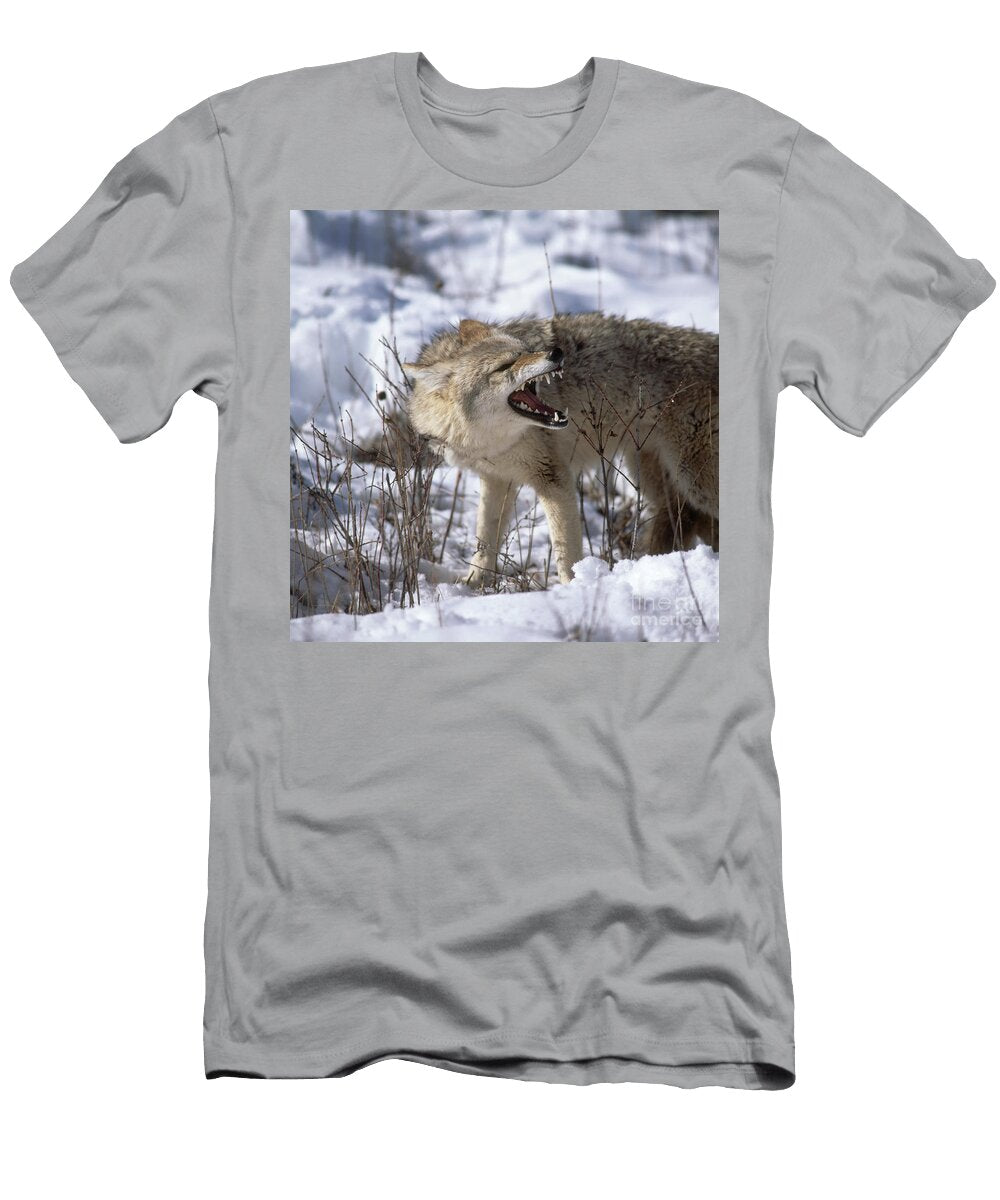 Coyote Hans Reinhard T-Shirt