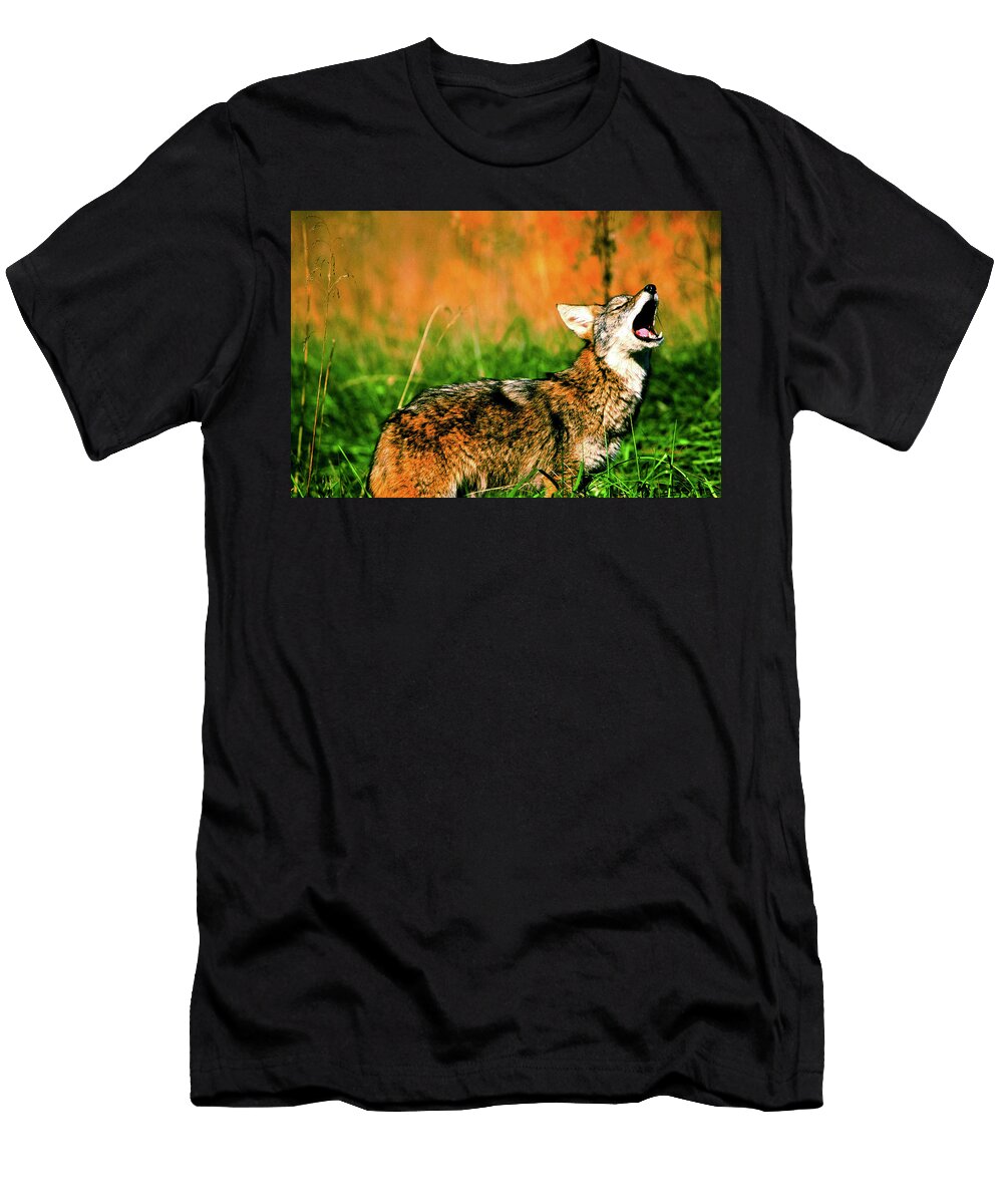 Coyote Howl Miles Moody T-Shirt