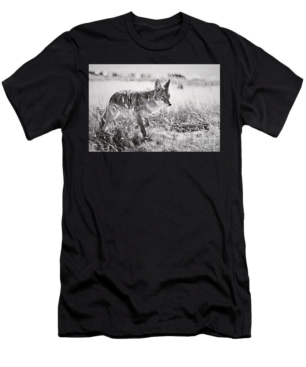Coyote Hunting At Yellowstone Lake Wyoming High Contrast Black and White Nature Dmr Filho T-Shirt