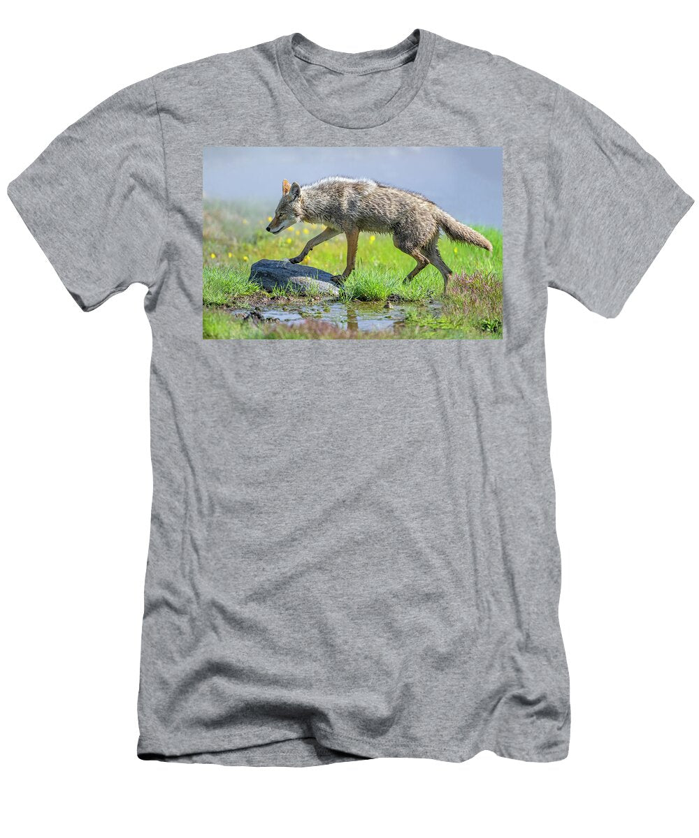 Coyote Hunting in a Wetland Meadow in Summer Yellowstone George Sanker Natureplcom T-Shirt