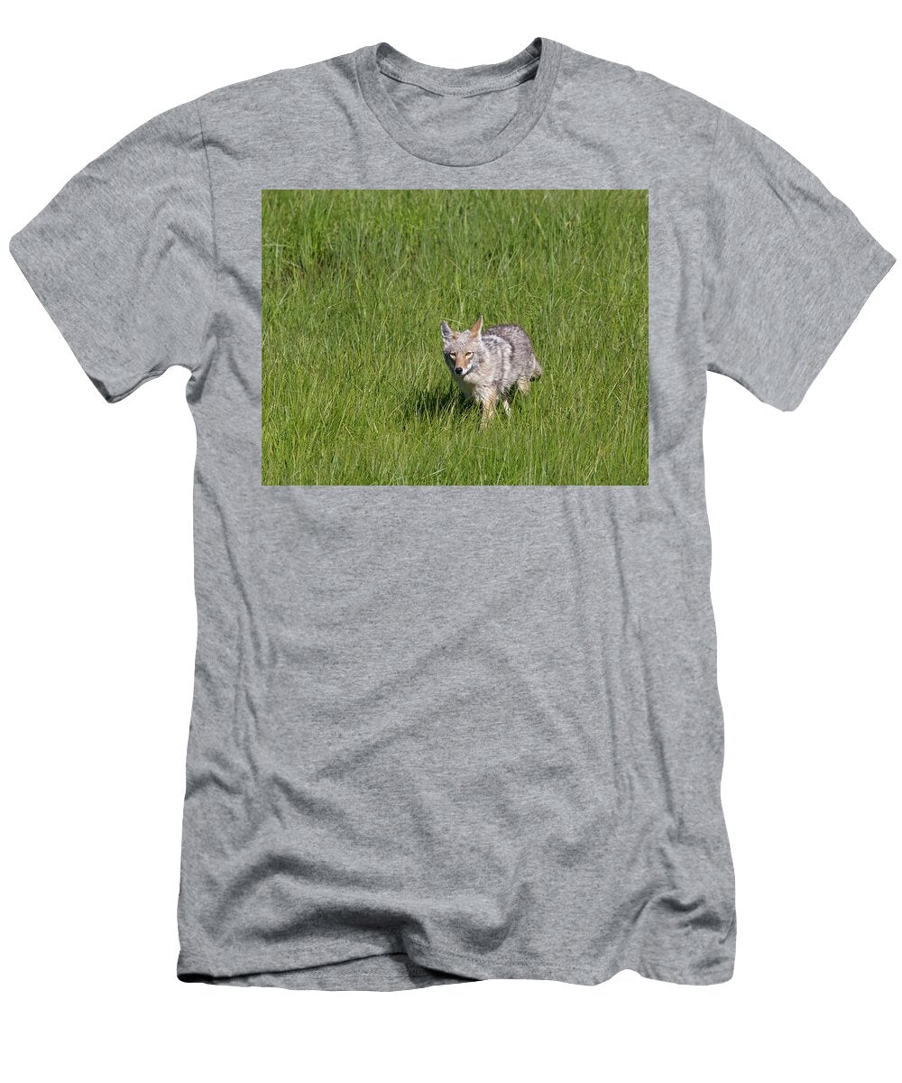 Coyote Hunting in Green Grass George Erwin Turner T-Shirt