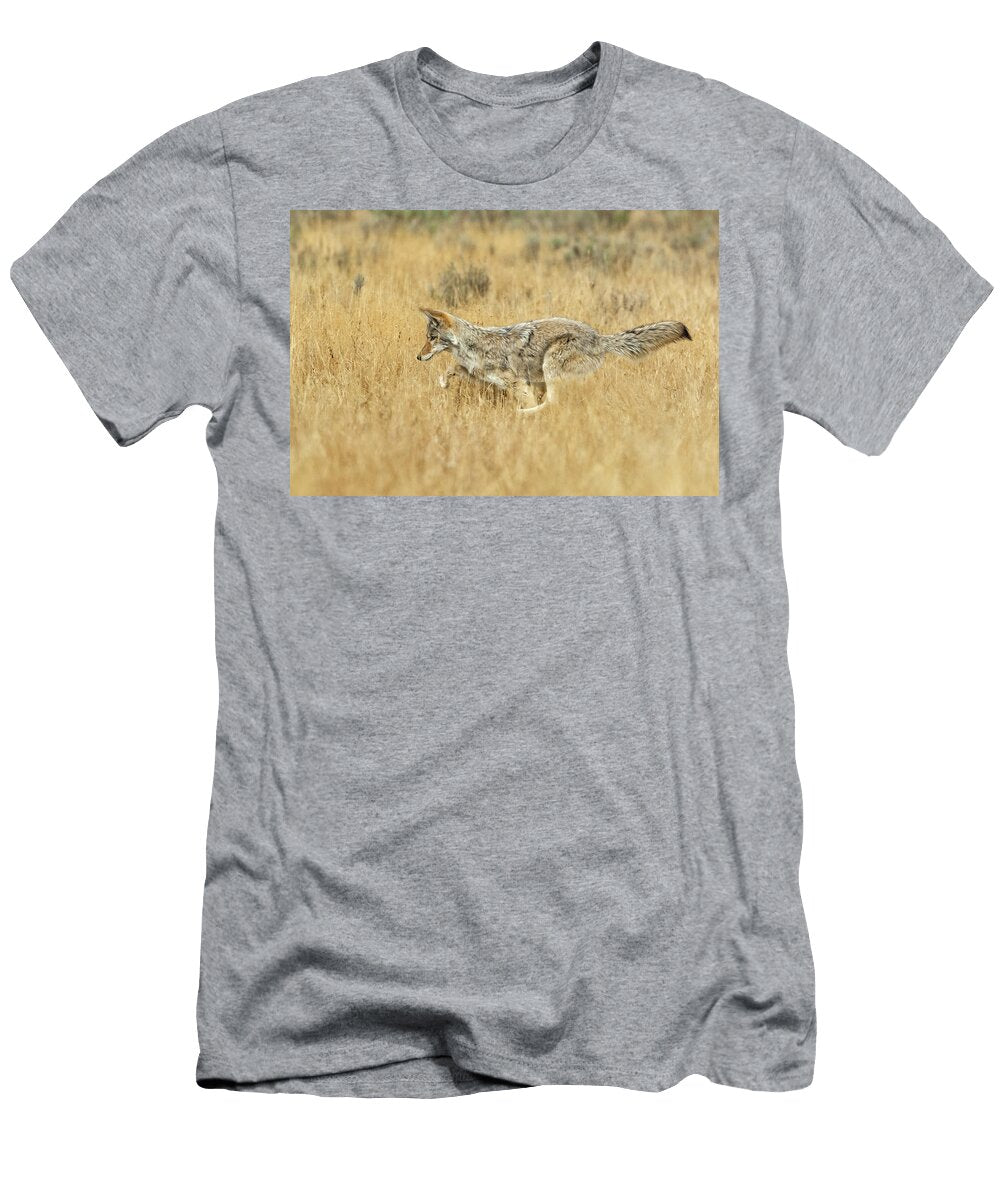 Coyote Hunting in Sagebrush Grassland Yellowstone National George Sanker Natureplcom T-Shirt