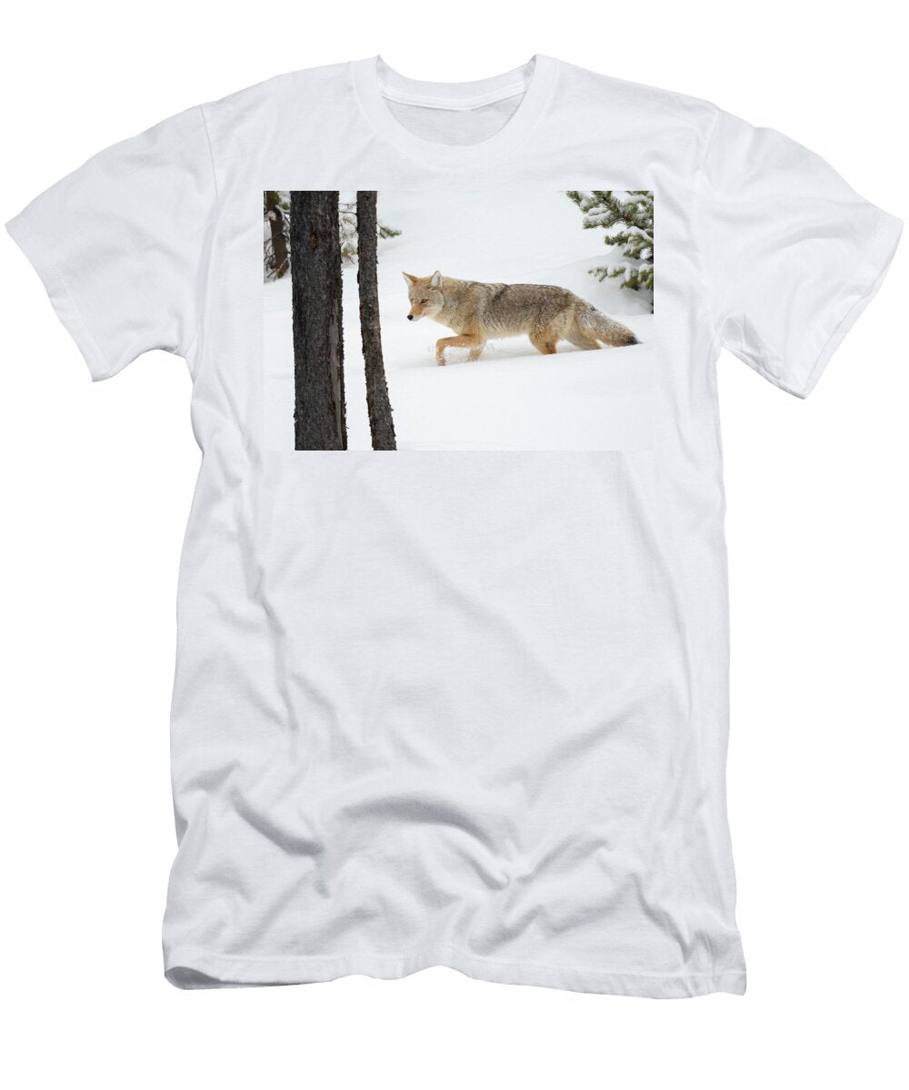 Coyote Hunting in Winter Woods Yellowstone National Park John Shaw Natureplcom T-Shirt