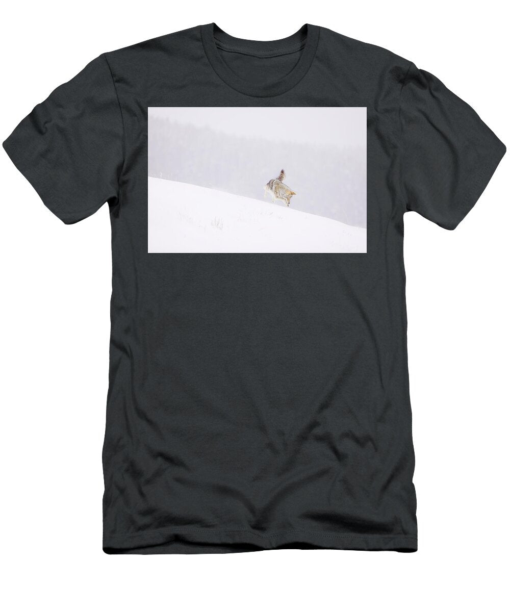 Coyote Hunting Sequence 5 7 Isabella Smedley T-Shirt