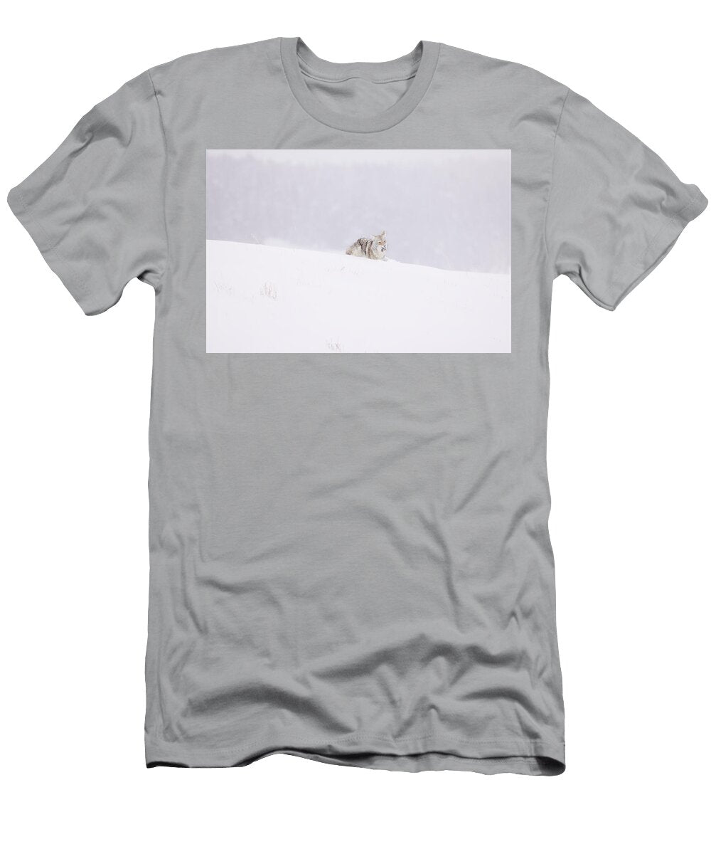 Coyote Hunting Sequence 6 7 Success Isabella Smedley T-Shirt