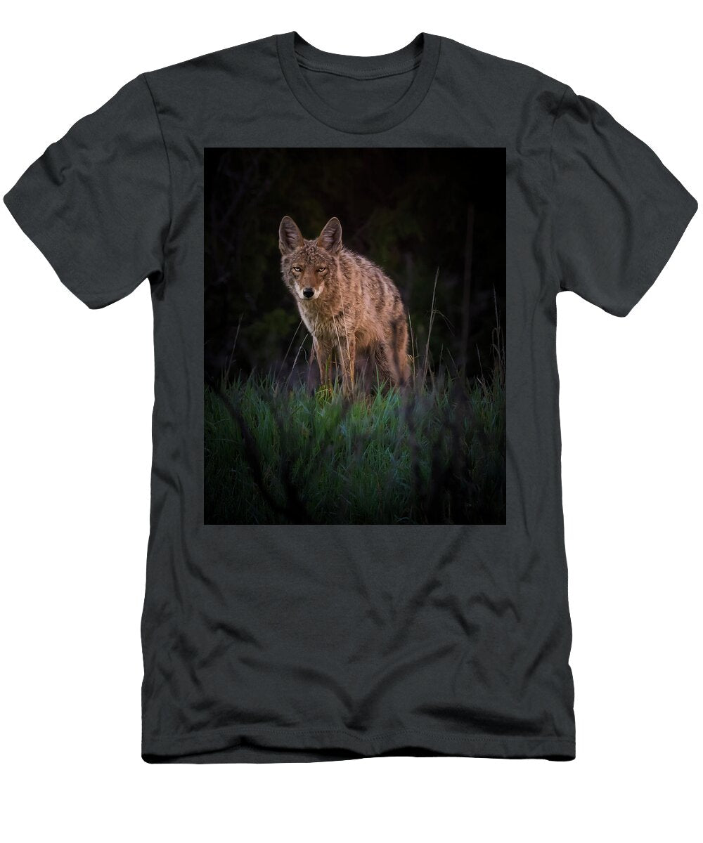 Coyote in a Dark Forest Gary Atler T-Shirt