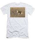 Coyote in a Dry Grass Field Tony Hake T-Shirt