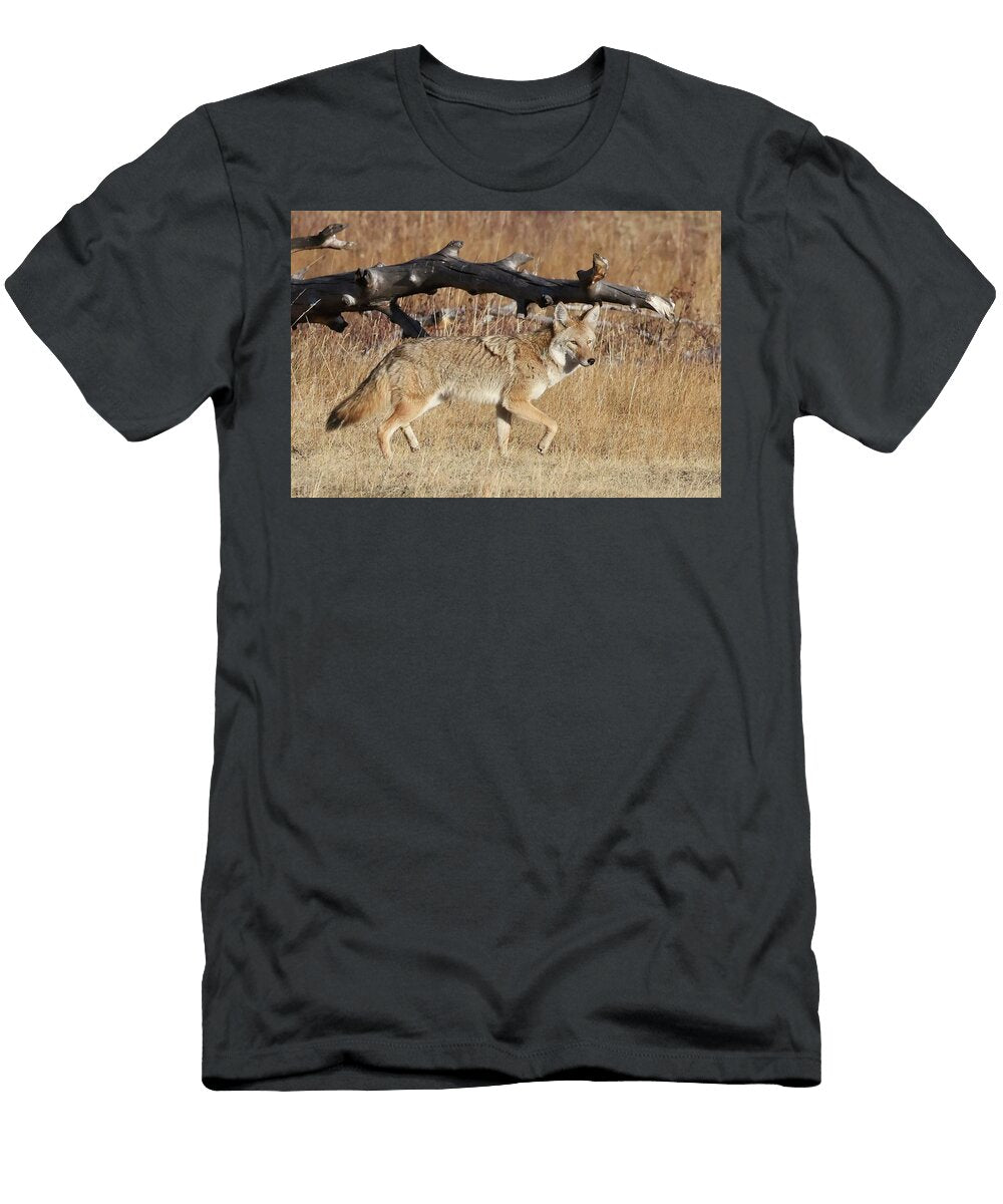 Coyote in a Field Brad Manard T-Shirt