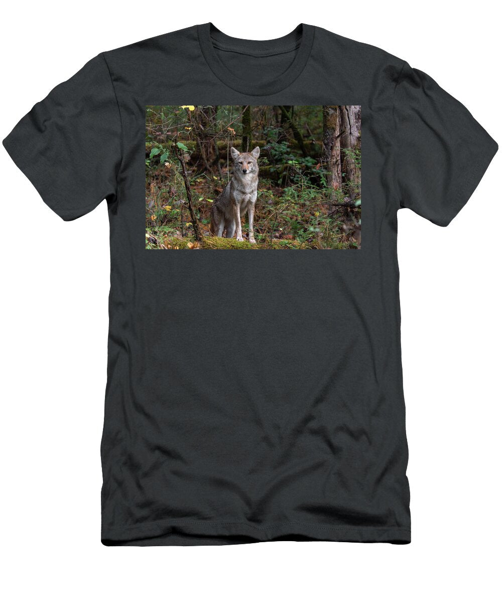 Coyote in a Forest Clearing Stacey Reid T-Shirt
