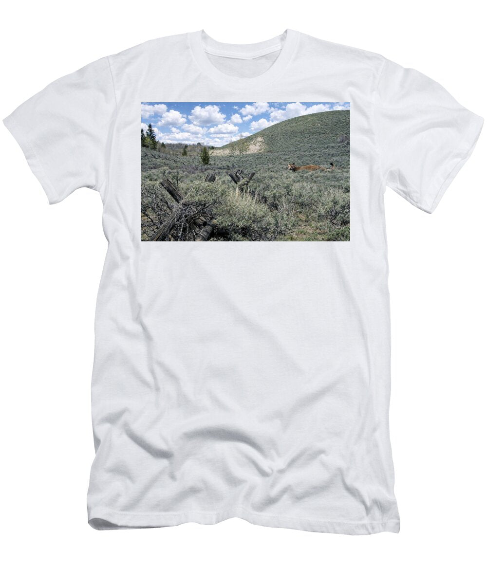 Coyote in a Grassland Landscape Douglas Barnett T-Shirt