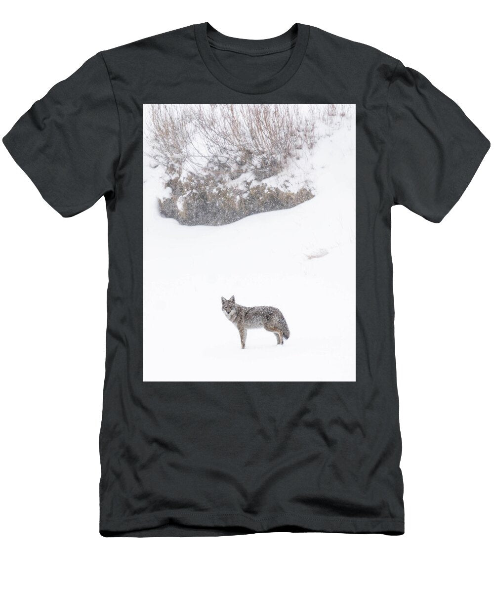 Coyote in a Snowstorm Franklin Ames T-Shirt