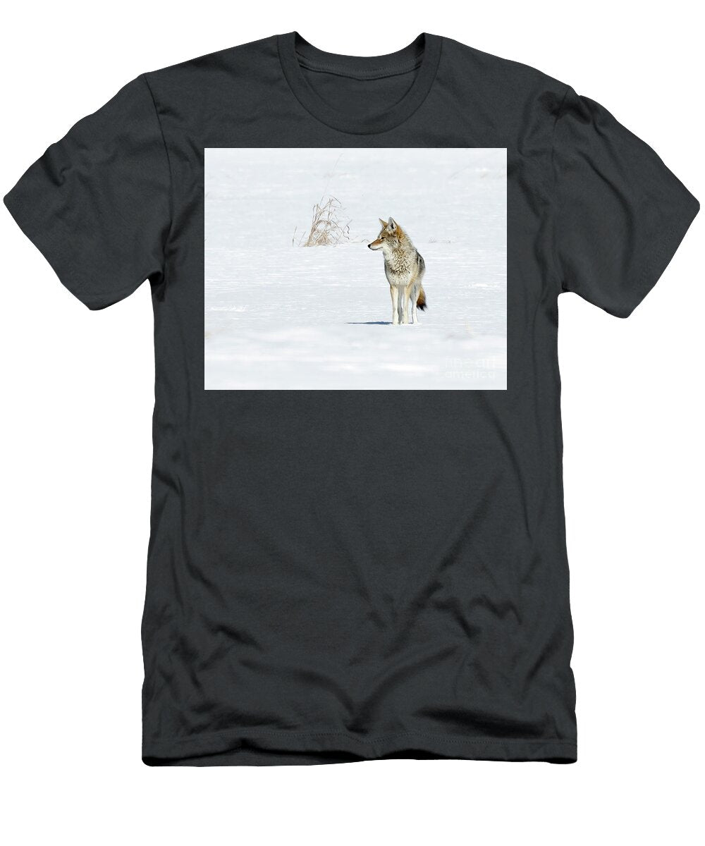 Coyote in a Snowy Field Susi Stroud T-Shirt