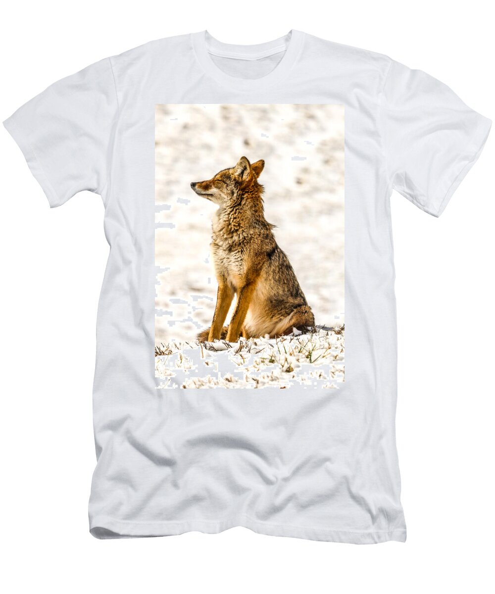 Coyote in a Snowy Landscape Lisandra Alarcon T-Shirt