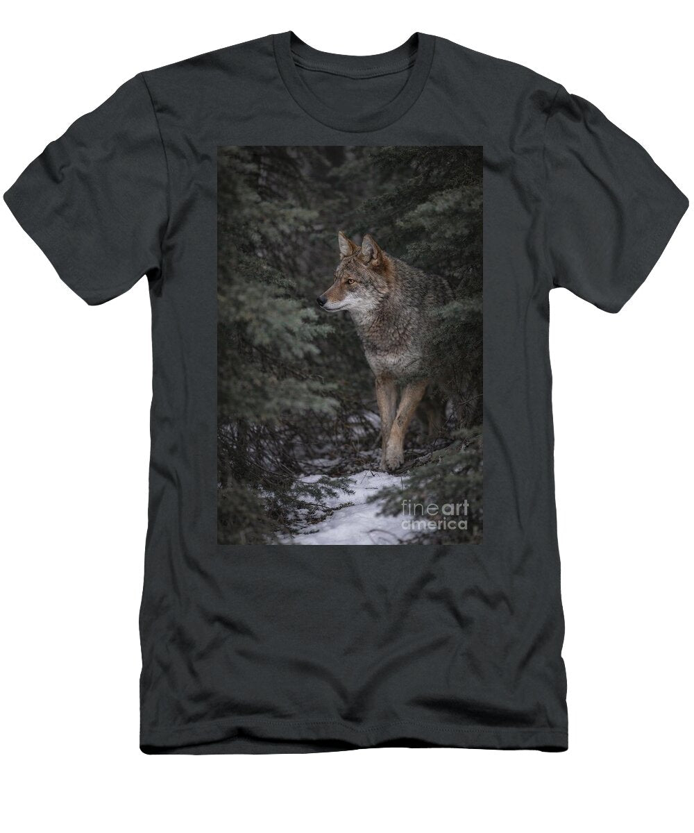 Coyote in a Winter Forest Anthony Djordjevic T-Shirt