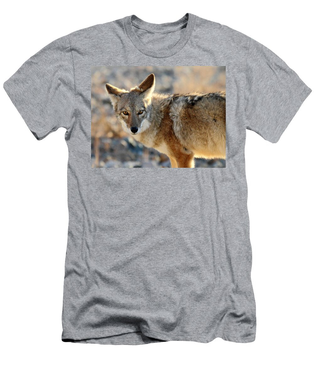 Coyote in Death Valley National Park Pierre Leclerc T-Shirt