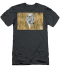 Coyote in Golden Field Amy Booth T-Shirt