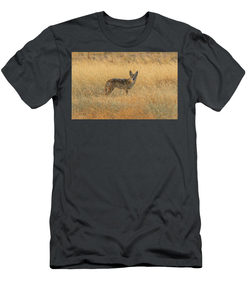 Coyote in Golden Grass Marc Crumpler T-Shirt