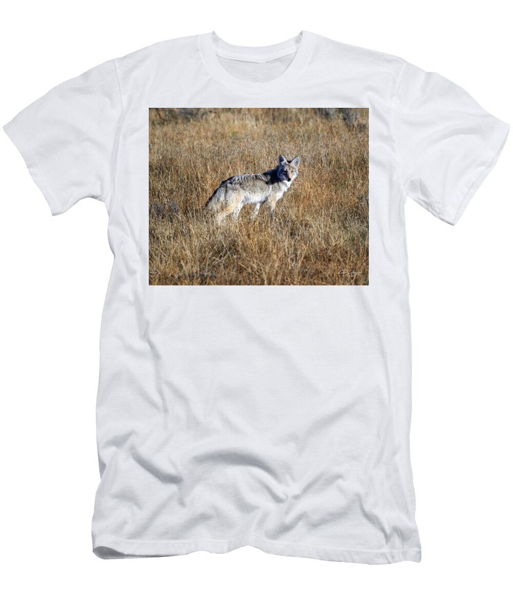 Coyote in Golden Grassland Kellie Lukaczyk T-Shirt